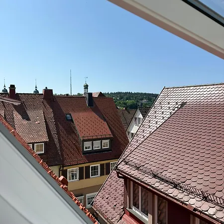 Apartment Good Wood Nest - Modernes Fachwerk Auf Zwei Etagen Am Marktplatz In Freudenstadt